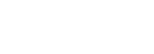 대다모